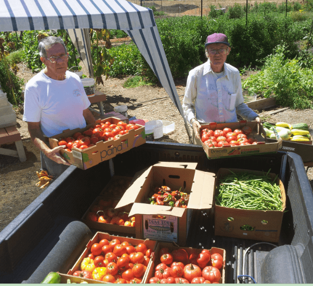 Two volunteers holding boxes of fresh produce beside a truck.